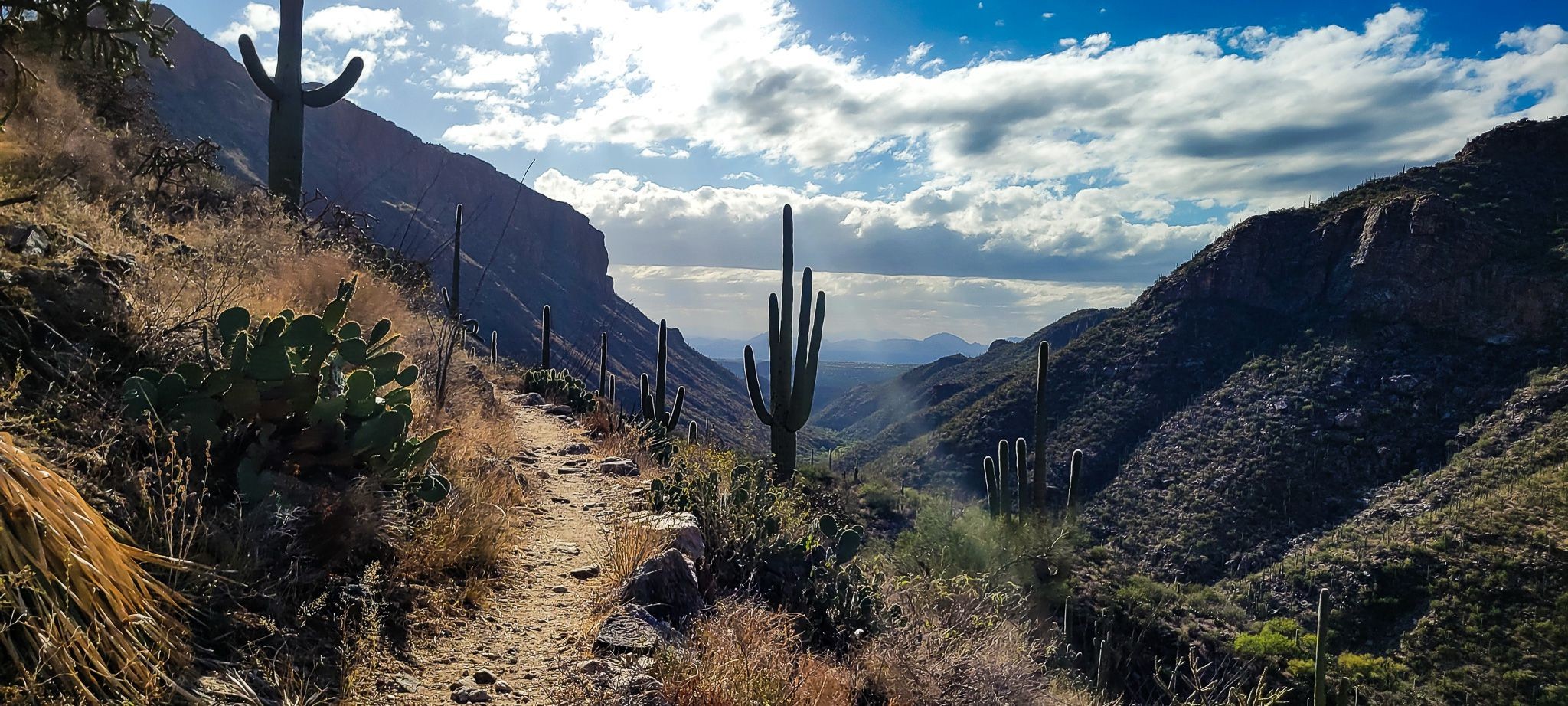 Sabino Canyon