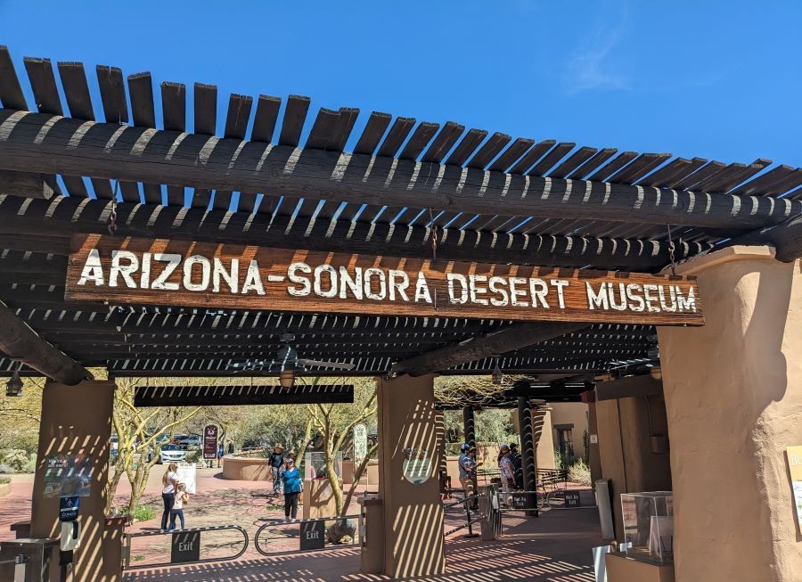 Arizona Sonora Desert Museum